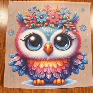 Beautiful Owl