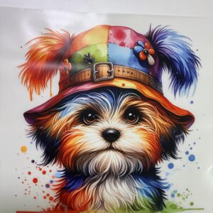 Rainbow Pup