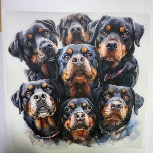 What a Pack