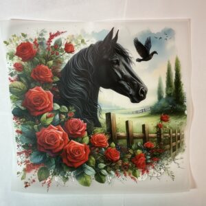 Black Stallion